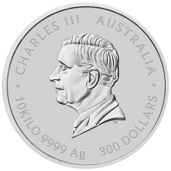 Stříbrná mince 10 Kg Lunar Series III Year of the Snake 2025