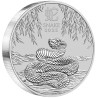 Stříbrná mince 10 Kg Lunar Series III Year of the Snake 2025