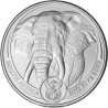 Platinová mince 1 Oz Big Five Elephant 2022