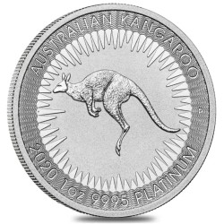 Platinová mince 1 Oz...