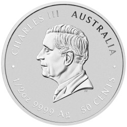 Stříbrná mince 1/2 Oz Lunar Series III Year of the Snake 2025 Kolorovaná