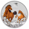 Stříbrná mince 1/2 Oz Lunar Series III Year of the Horse 2026 Kolorováno