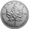 Stříbrná mince 1 Oz Maple Leaf 1992