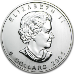 Stříbrná mince 1 Oz Maple...