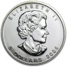 Stříbrná mince 1 Oz Maple Leaf 2006