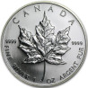 Stříbrná mince 1 Oz Maple Leaf 2006