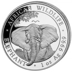 Stříbrná mince 1 Oz African...