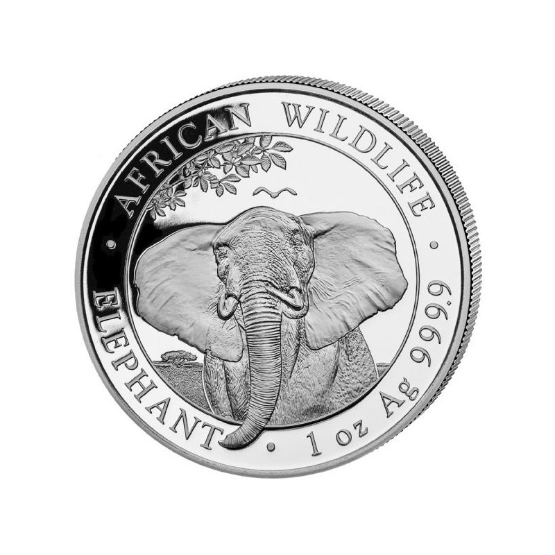 Stříbrná mince 1 Oz African Wildlife Elephant 2021
