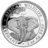Stříbrná mince 1 Oz African Wildlife Elephant 2021