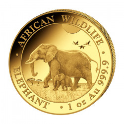 Zlatá mince 1 Oz African...