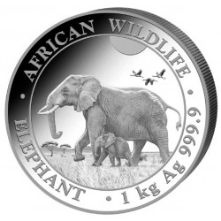 Stříbrná mince 1 Kg African...