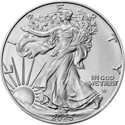 Stříbrná mince 1 Oz...