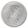 Stříbrná mince 1 Oz Maple Leaf 2014 Zlaceno