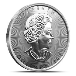 Stříbrná mince 1 Oz Maple Leaf 2021 Zlaceno