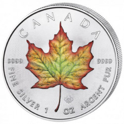 Stříbrná mince 1 Oz Maple...