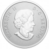 Stříbrná mince 1/2 Oz Born in 2022