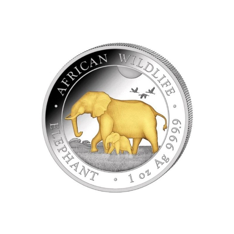 Stříbrná mince 1 Oz African Wildlife Elephant 2022 Zlaceno
