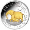 Stříbrná mince 1 Oz African Wildlife Elephant 2022 Zlaceno