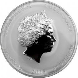 Stříbrná mince 1 Kg Lunar Series II Year of the Pig 2019