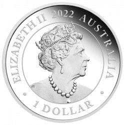 Stříbrná mince 1 Oz One Love 2022 Proof