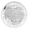 Stříbrná mince 1 Oz Bouřlivé počasí 2012
