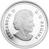 Stříbrná mince 1 Oz Bouřlivé počasí 2012