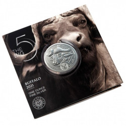 Stříbrná mince 1 Oz Buffalo...