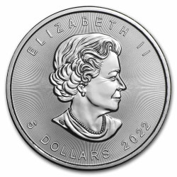 Box 500 x stříbrná mince 1 Oz Maple Leaf