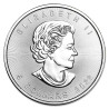 Tuba 25 x stříbrná mince 1 Oz Maple Leaf