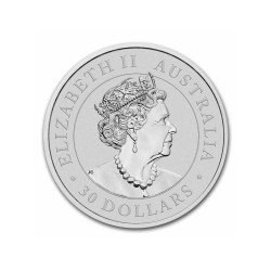 Stříbrná mince 1 Kg Koala 2022