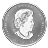 Platinová mince 1 Oz Platinové výročí Alžběty II. 2022