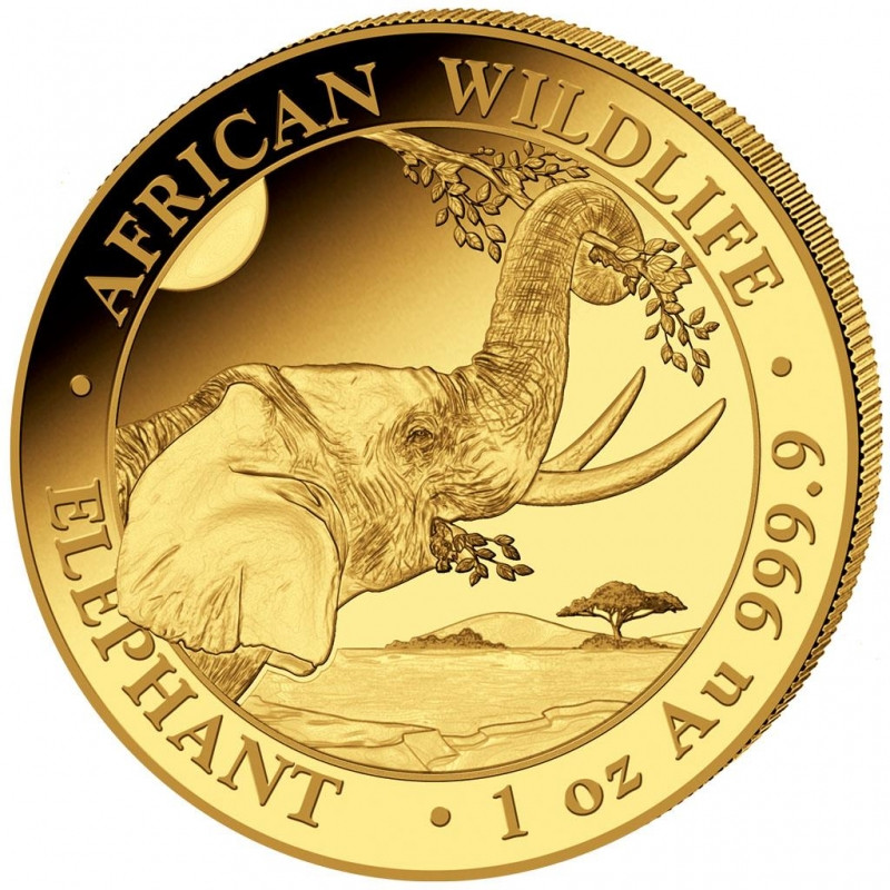 Zlatá mince 1 Oz African Wildlife Elephant 2023
