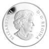 Stříbrná mince 1 Oz Princ Charles 2011