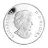 Stříbrná mince 1 Oz Princ William 2011