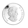 Stříbrná mince 1 Oz Princ Harry 2011