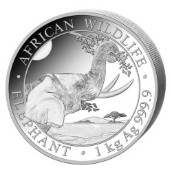 Stříbrná mince 1 Kg African Wildlife Elephant 2023