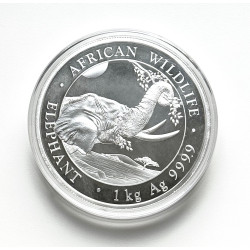 Stříbrná mince 1 Kg African Wildlife Elephant 2023