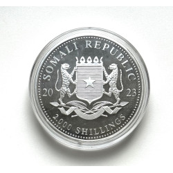 Stříbrná mince 1 Kg African Wildlife Elephant 2023