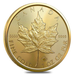 Zlatá mince 1 Oz Maple Leaf 2023