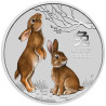 Stříbrná mince 1/4 Oz Lunar Series III Year of the Rabbit 2023 Kolorováno