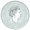 Stříbrná mince 1 Oz Lunar Series III Year of the Rabbit 2023