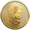 Zlatá mince 1 Oz Maple Leaf 2022 Single-Sourced Mine