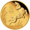 Zlatá mince 1/10 Oz Lunar Series III Year of the Rabbit 2023