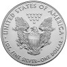 Stříbrná mince 1 Oz American Eagle 2021 typ 1