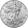 Stříbrná mince 1 Oz American Eagle 2021 typ 1