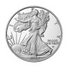 Stříbrná mince 1 Oz American Eagle 2022