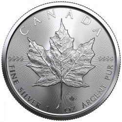Stříbrná mince 1 Oz Maple Leaf 2021