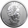 Stříbrná mince 1 Oz Maple Leaf 2021