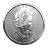 Stříbrná mince 1 Oz Maple Leaf 2020