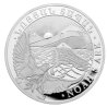 Stříbrná mince 1 Kg Noemova Archa 2023